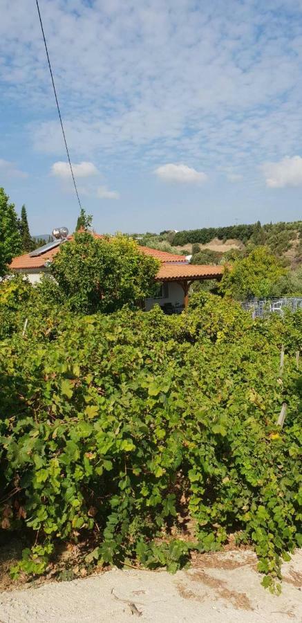 Agia Triada * Koróni
